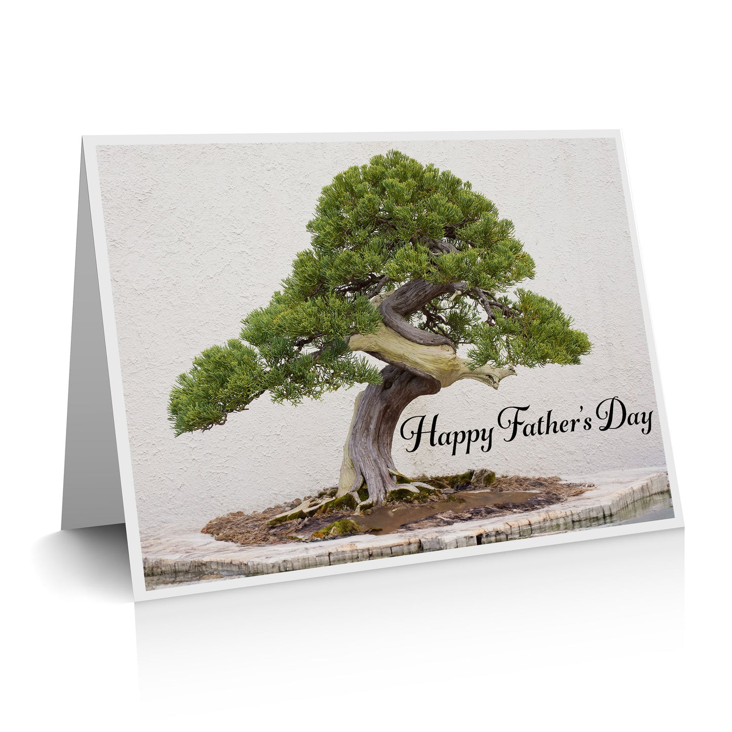 Father's Day Bonsai Greeting Card