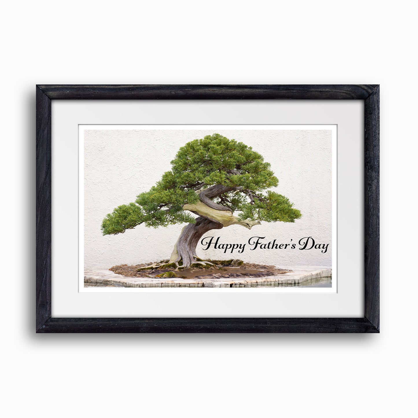 Father's Day Bonsai Greeting Card