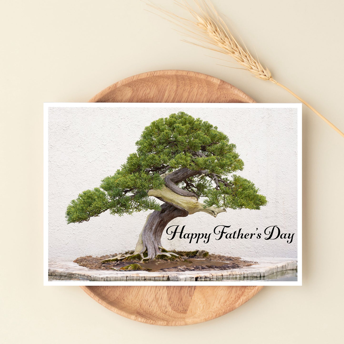 Father's Day Bonsai Greeting Card